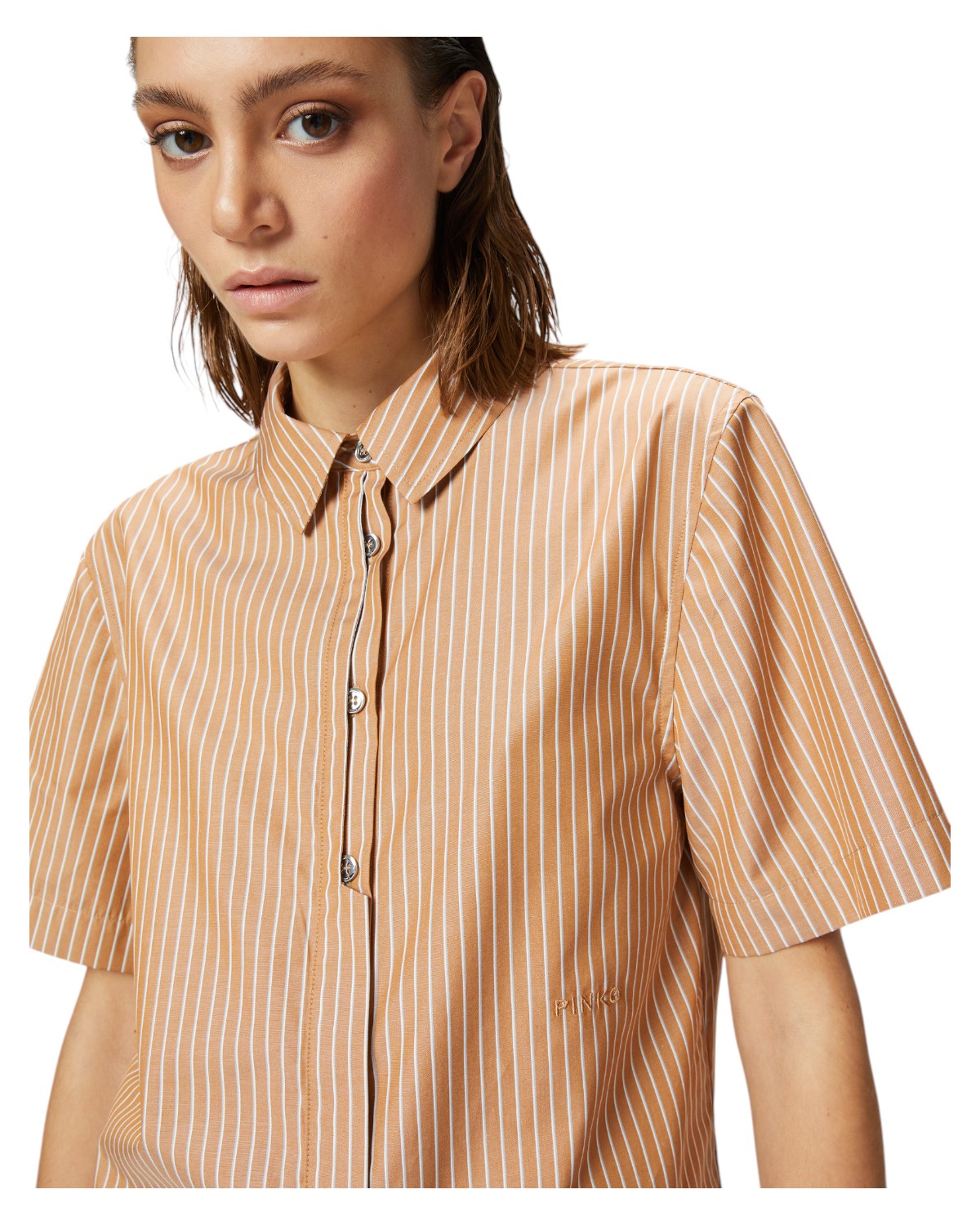 Camicia Bowling in Popeline di Cotone a Righe Verticali-Pinko-Camicie-Vittorio Citro Boutique