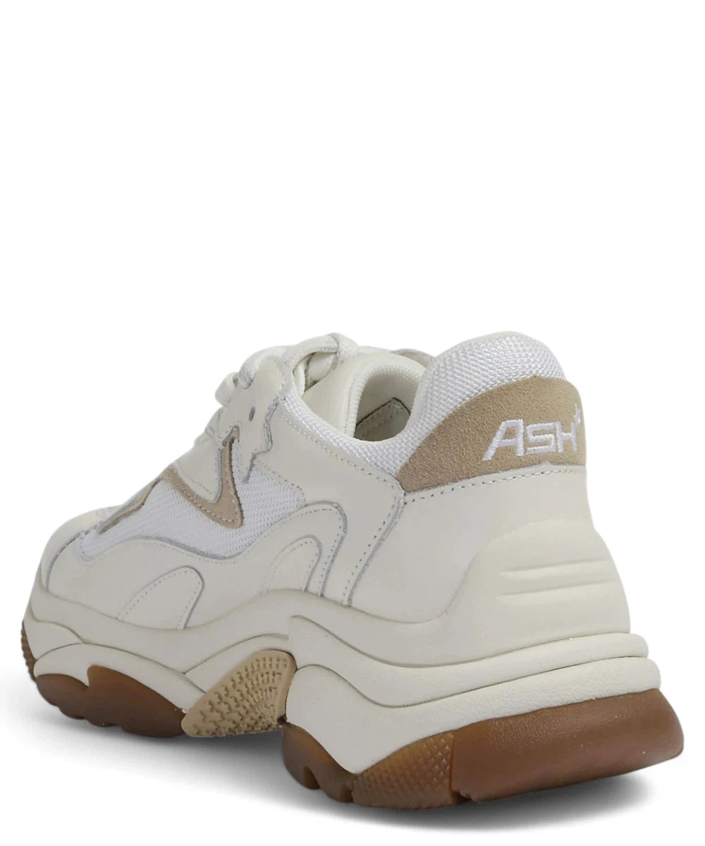 Sneakers in Pelle Beige con Inserti in Camoscio-ASH-Sneakers-Vittorio Citro Boutique